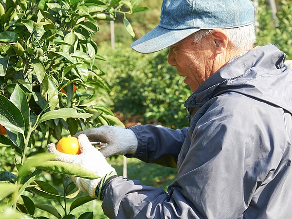 ホームページリニューアルのお知らせの画像