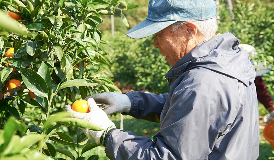 有限会社薩摩農機｜害獣駆除対策・田畑・農園用電気柵の製造・販売
