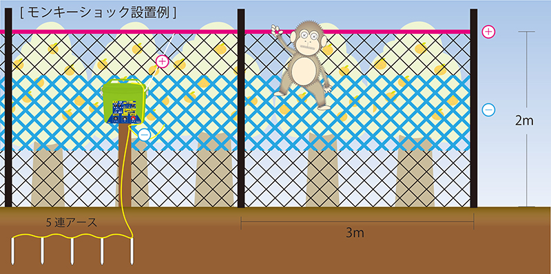 設置のポイント