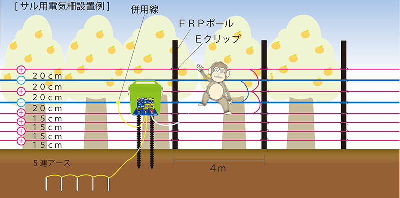 設置のポイント