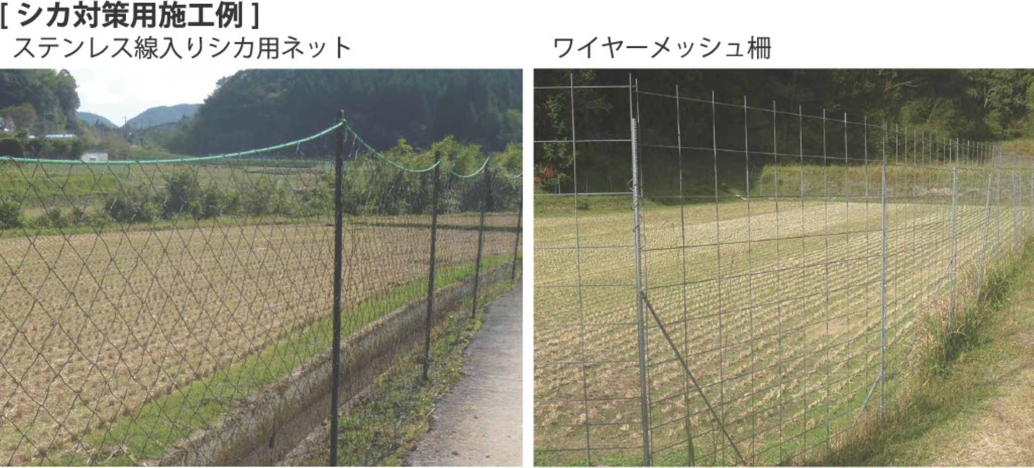 シカ対策 上